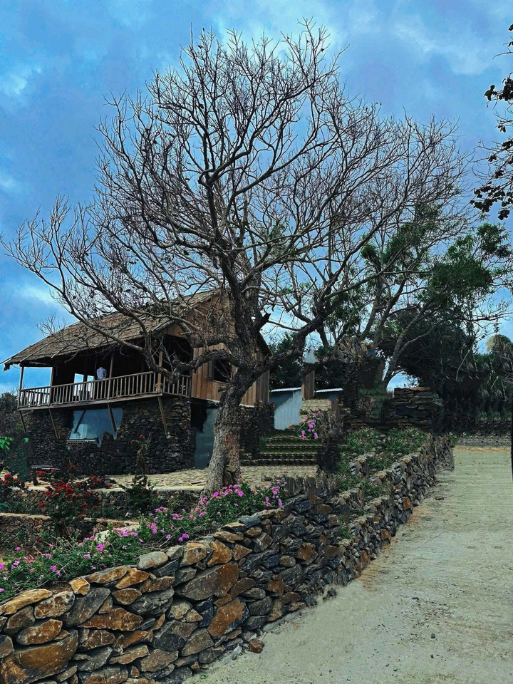 Đồi Cổ Thạch rộng khoảng 42ha, địa hình bằng phẳng, thoáng đãng. Trên nền cỏ xanh và đất đá tự nhiên, những bức tường đá cổ, con đường đá xưa cùng hàng duối lâu năm đan xen nhau, tạo nên khung cảnh như một bức tranh thủy mặc. Vẻ đẹp nhuốm màu thời gian ấy mang đến cảm giác bình yên, tách biệt khỏi nhịp sống hối hả thường ngày.