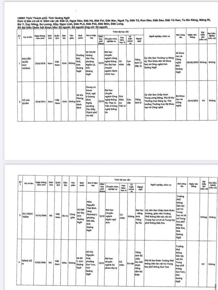 Danh sách những người ứng cử đại biểu Quốc hội khóa XVI tại Quảng Ngãi - 5