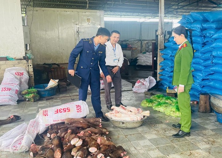 Lực lượng chức năng kiểm tra 2 kho lạnh và cũng là cơ sở chế biến xương, chân, đuôi và gân trâu bò ở xã Thọ Long và Hoàng Giang (Thanh Hoá). (Ảnh: Công an Thanh Hoá)