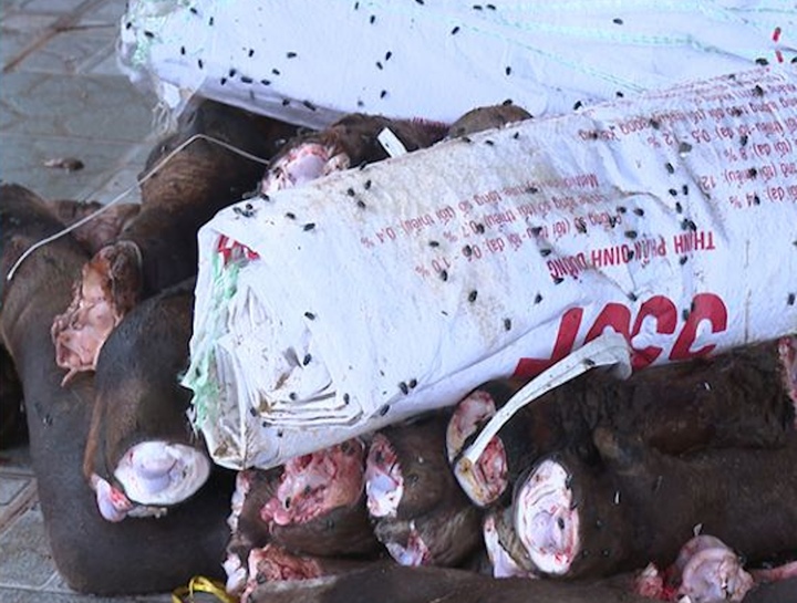 Nhiều sản phẩm là chân, gân, đuôi, xương trâu bò không rõ nguồn gốc bốc mùi hôi thối, nhưng vẫn được bảo quản để tiếp tục chế biến.