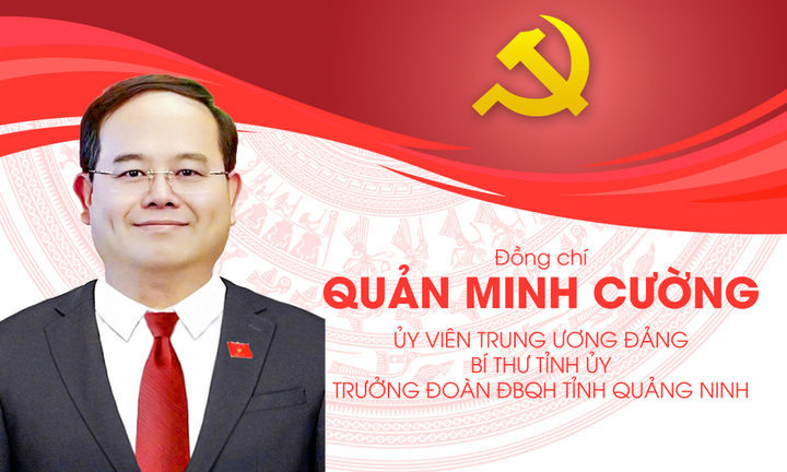 Ông Quản Minh Cường (SN 1969), Bí thư Tỉnh ủy Quảng Ninh ứng cử đại biểu Quốc hội khóa XVI tại đơn vị bầu cử số 2 tỉnh Quảng Ninh.