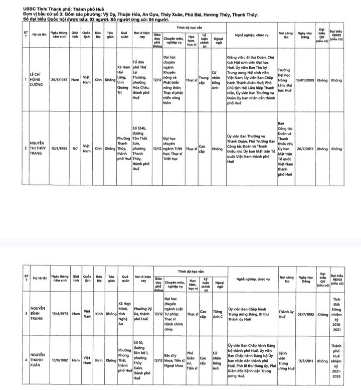 Danh sách những người ứng cử đại biểu Quốc hội khóa XVI tại TP Huế - 4