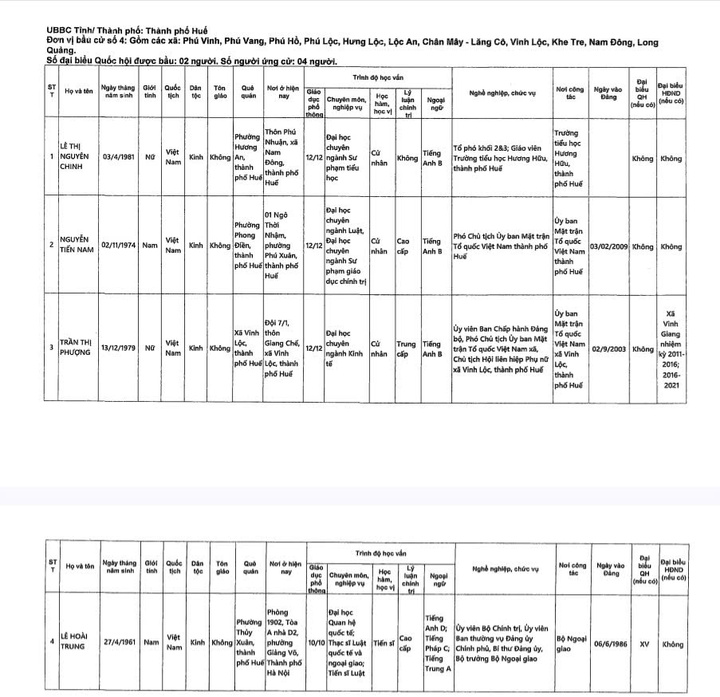 Danh sách những người ứng cử đại biểu Quốc hội khóa XVI tại TP Huế - 5