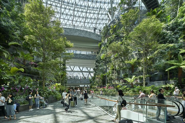 Với kiến trúc mái vòm bằng kính độc đáo, những khu vườn xanh mướt và hàng trăm cửa hàng, nhà hàng, Jewel Changi trở thành một điểm đến hấp dẫn, thu hút đông đảo du khách. (Ảnh: Archello)