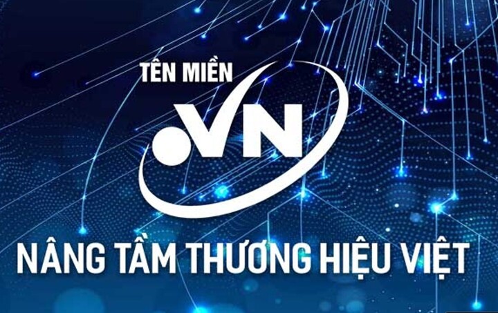 Năm 2026 có 2 đợt đấu giá tên miền ".vn". (Ảnh: chinhphu.vn)