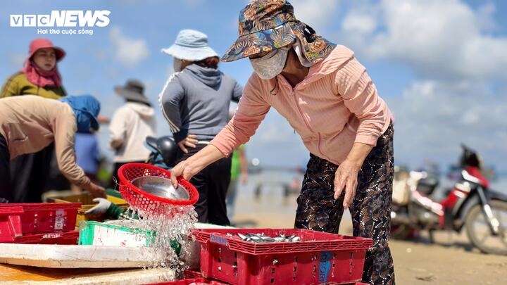 Việc trúng đậm cá nục đầu năm không chỉ mang lại niềm vui cho ngư dân mà còn tạo không khí phấn khởi lan tỏa khắp địa phương. Nhiều gia đình có thêm khoản thu để trang trải chi phí sinh hoạt, sửa chữa tàu thuyền, đầu tư thêm ngư lưới cụ cho những chuyến biển dài ngày sắp tới. Các cơ sở thu mua, chế biến hải sản cũng được hưởng lợi khi nguồn nguyên liệu dồi dào.