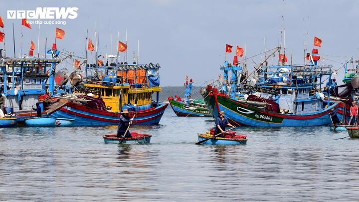 Theo các ngư dân, thời tiết những ngày đầu năm khá thuận lợi, biển êm, gió nhẹ, tạo điều kiện lý tưởng để tàu thuyền vươn khơi. Khoảng 15h, từng đoàn tàu công suất từ 200 đến 400 CV rời bến, hướng ra các ngư trường truyền thống cách bờ chừng vài chục hải lý. Chỉ sau một đêm miệt mài đánh bắt, đến rạng sáng hôm sau, các tàu bắt đầu quay về trong niềm phấn khởi hiện rõ trên gương mặt từng thuyền viên.