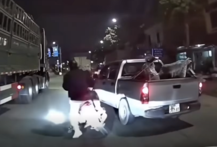 Hành vi máu lạnh của tài xế xe bán tải khiến cộng đồng không khỏi bức xúc. (Ảnh chụp màn hình)