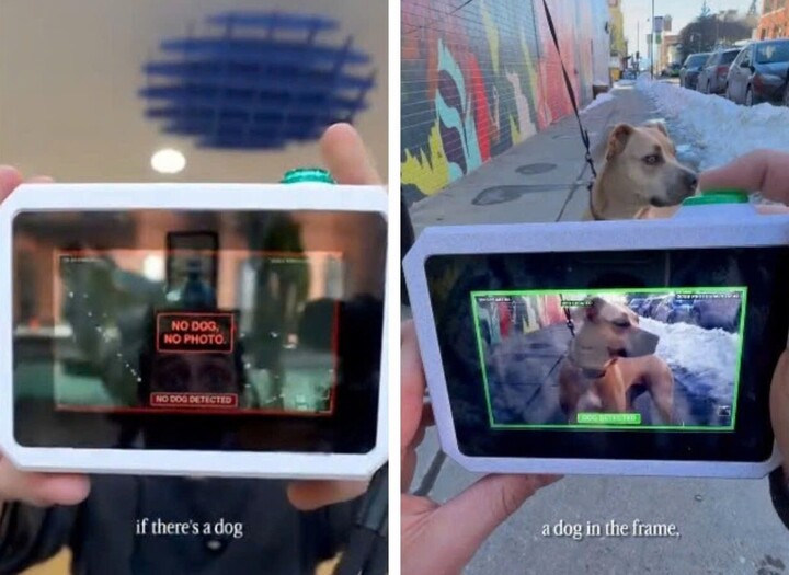 Máy ảnh mới của Bendetto chỉ chụp chó trong khung hình. (Nguồn: Instagram/Matty Benedetto)