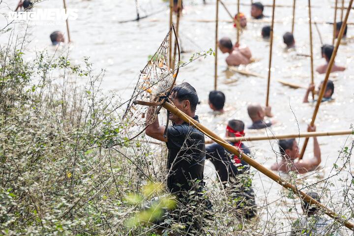 Người dân ngoại thành Hà Nội hò reo dập sào bắt cá trên sông Tích Giang - 7