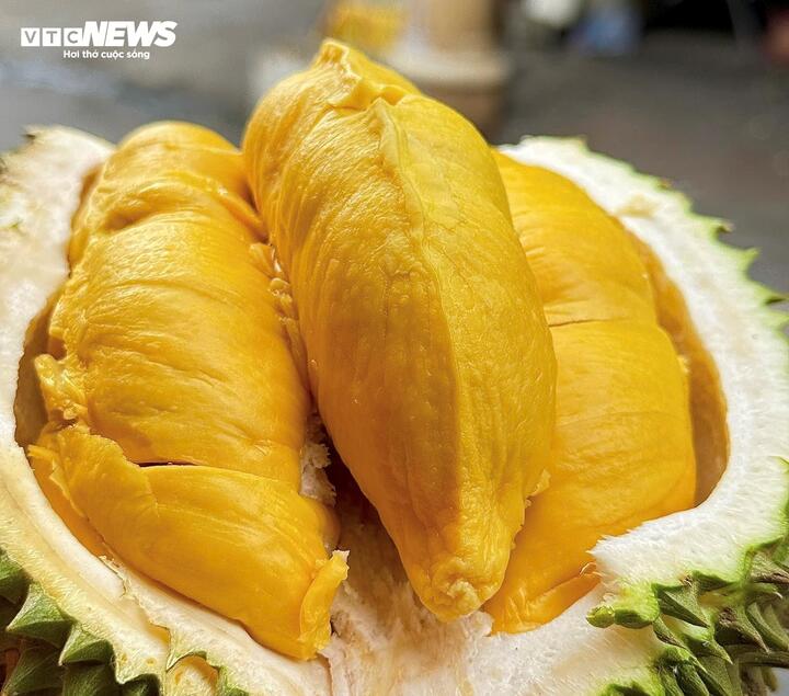 Musang King từng được đánh giá là sầu riêng ngon nhất thế giới, có nguồn gốc từ Malaysia, nổi tiếng với cơm màu vàng đậm, dẻo mịn, hạt lép và vị béo ngậy, ngọt hậu đắng nhẹ.
