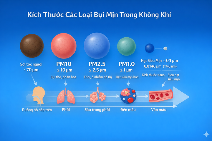 Máy lọc không khí thông thường chỉ lọc được hạt PM2.5.