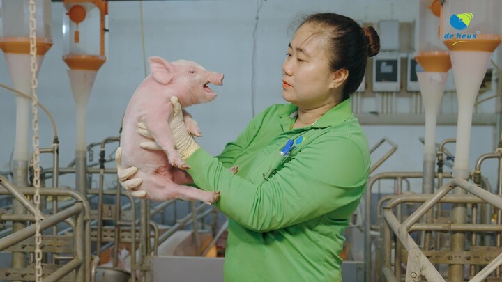 Gia nhập thị trường Việt Nam từ năm 2008, đến nay, De Heus Việt Nam sở hữu nhiều thương hiệu thức ăn chăn nuôi hàng đầu với hệ thống nhà máy sản xuất hiện đại.