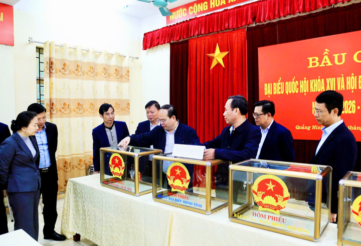 Bí thư Tỉnh ủy Quảng Ninh Quản Minh Cường kiểm tra công tác chuẩn bị bầu cử tại phường Hạ Long.