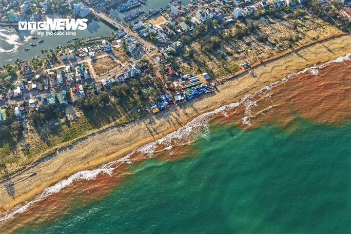 Vết nước màu nâu đỏ tại vùng biển Thiện Chánh (phường Hoài Nhơn Bắc, Gia Lai) ngày 23/2.