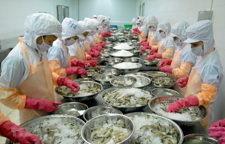 Ngành xuất khẩu thủy hải sản cũng bị ảnh hưởng vì cuộc xung đột tại Trung Đông. (Ảnh: Đ.V)