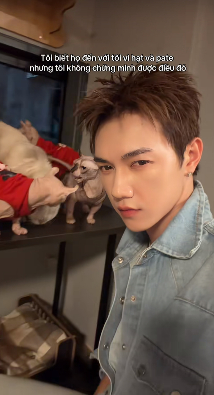 Vì sao trào lưu 'tôi biết nhưng không thể chứng minh' gây sốt mạng? - 2