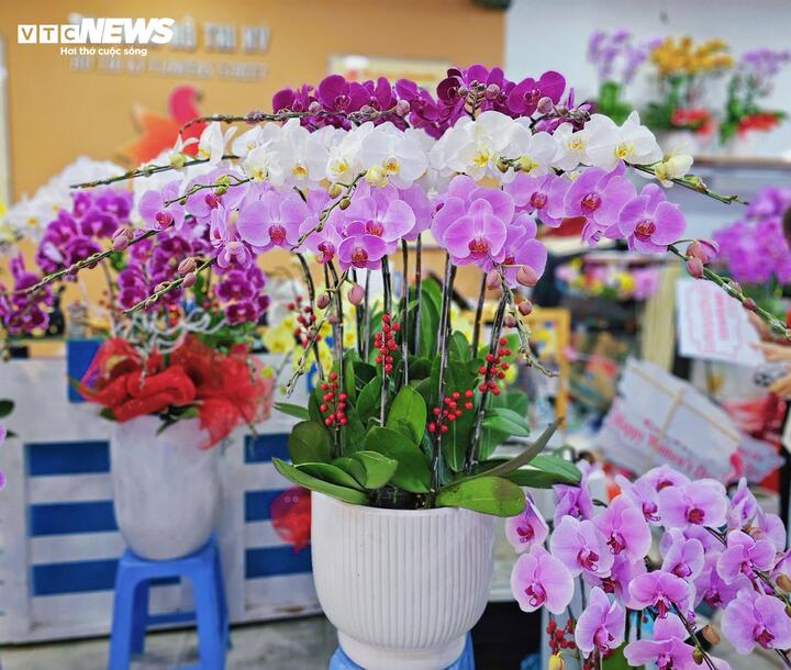 Chậu hoa lan này có giá 3 triệu đồng. Theo chủ cửa hàng, năm nay giá hoa lan không tăng, vẫn giữ ở mức 200.000 đồng/cành. Nhiều khách hàng có thói quen mua lan để tặng trong dịp này.