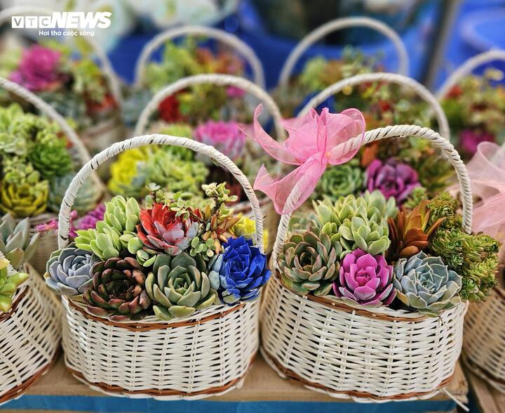 Giá hoa hồng 8/3 tăng kỷ lục: Khách bất ngờ, tiểu thương TP.HCM lo ế - 21