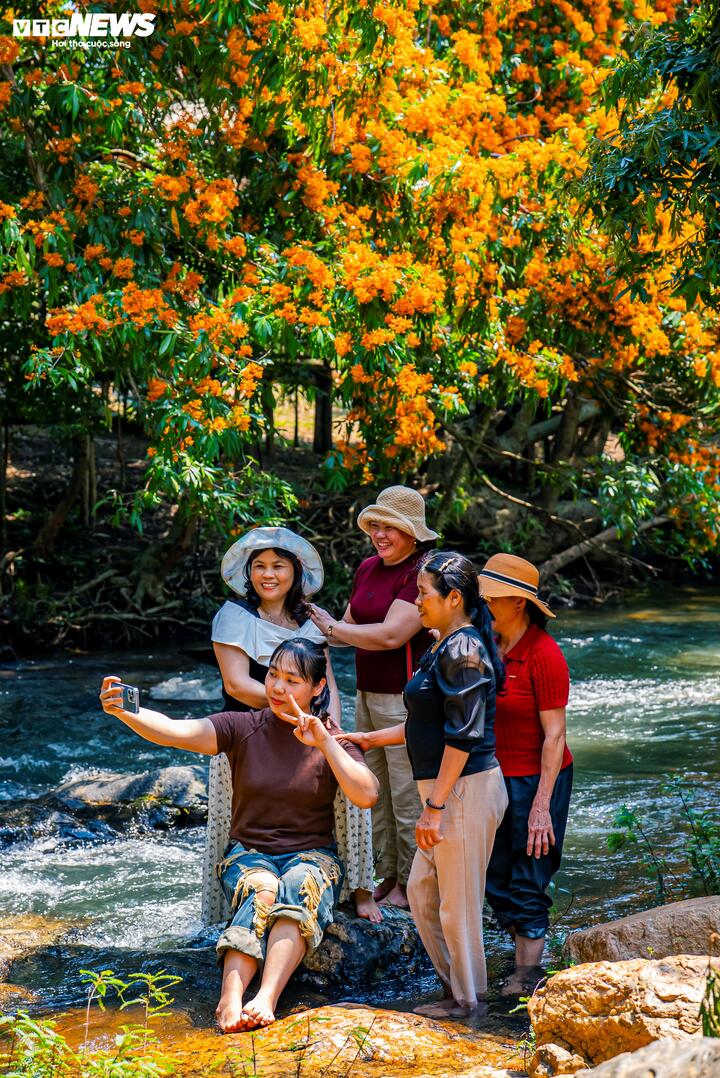 Chị Trần Mỹ Linh, du khách từ Khánh Hòa, chia sẻ: “Gia đình tôi ngỡ ngàng trước vẻ đẹp hoang sơ ở đây. Không khí rất trong lành, nước suối mát lạnh, nhìn những chùm hoa trang rừng rực rỡ soi bóng xuống dòng suối, cảm giác mọi mệt mỏi đều tan biến”.