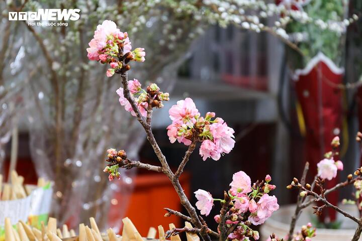 Giá hoa 8/3 tăng từng ngày, khách nhộn nhịp đi mua suốt đêm - 9