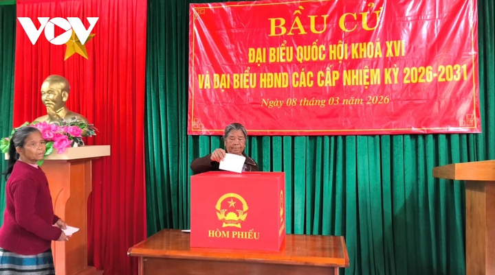 Các cử tri bỏ phiếu bầu cử.