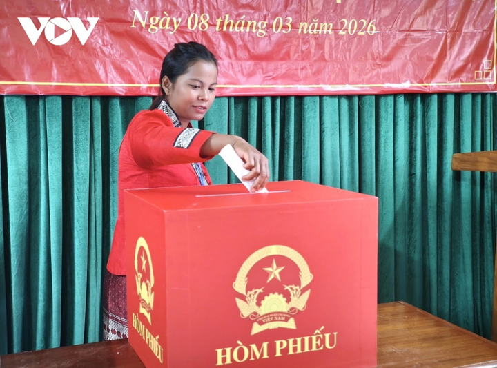 Công tác bầu cử sớm được tổ chức đảm bảo đúng quy định.