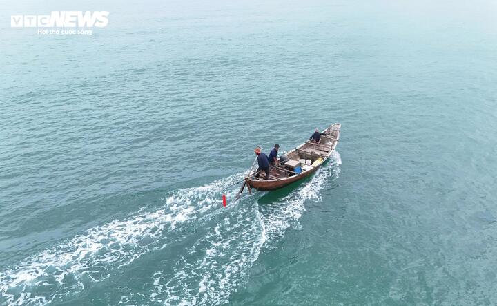 Sau Tết Nguyên đán 2026, dọc bãi biển xã Mỏ Cày, tỉnh Quảng Ngãi, không khí lao động trở nên nhộn nhịp hơn bao giờ hết khi mùa ốc gạo bước vào chính vụ. Từ rạng sáng, hàng chục chiếc ghe nhỏ nối đuôi nhau rẽ sóng ra khơi, mang theo hy vọng về một ngày đầy ắp “lộc biển”.