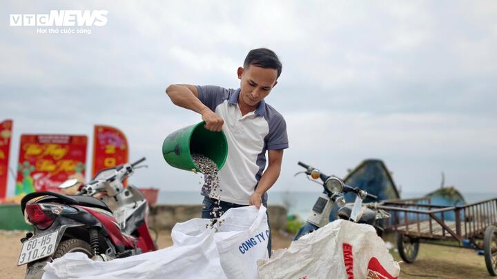 Tuy vậy, đối với nhiều hộ dân ven biển xã Mỏ Cày, nghề cào ốc gạo vẫn là nguồn thu quan trọng. Trong mùa ốc, nhiều người tạm gác nghề đánh bắt cá truyền thống để chuyển sang cào ốc vì thu nhập cao và ổn định hơn.