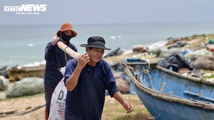 Theo ngư dân địa phương, mùa ốc gạo thường bắt đầu từ tháng Giêng và kéo dài đến hết tháng Ba âm lịch. Đây là thời điểm loài ốc này sinh trưởng mạnh, tập trung nhiều ở khu vực gần bờ. Tại vùng biển xã Mỏ Cày – nơi được xem là một trong những “thủ phủ” ốc gạo của Quảng Ngãi, gần 100 hộ dân tham gia nghề cào ốc mỗi năm.