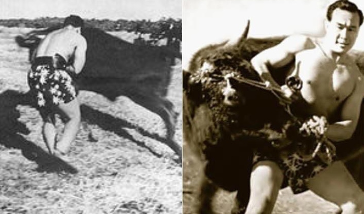 Mas Oyama tay không đấu bò tót