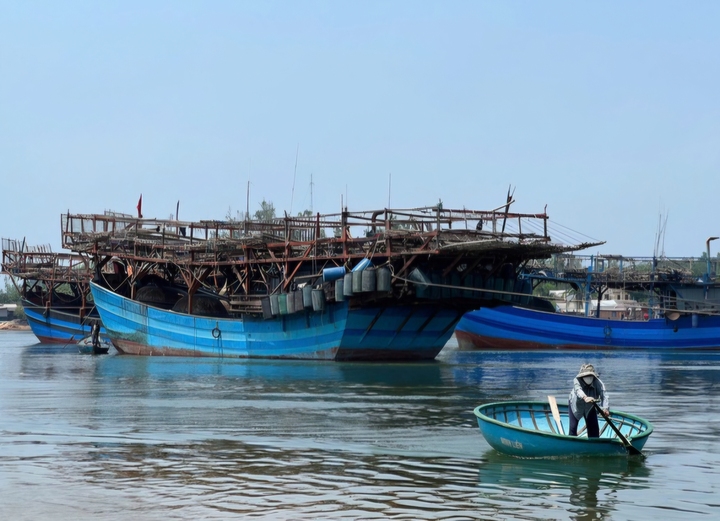 Tàu câu mực của ngư dân Quảng Ngãi