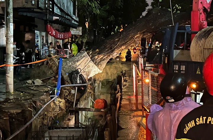 Cây cổ thụ trung tâm Đà Nẵng ngã đổ, nghi do đào đường.