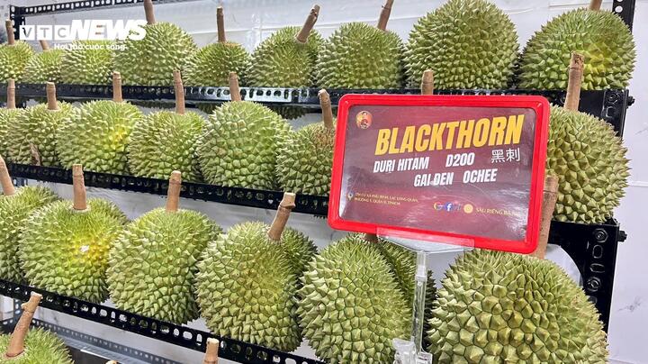 Sầu riêng Blackthorn (gai đen) có giá khoảng 450.000 đồng/kg, mỗi trái có thể lên tới tiền triệu.