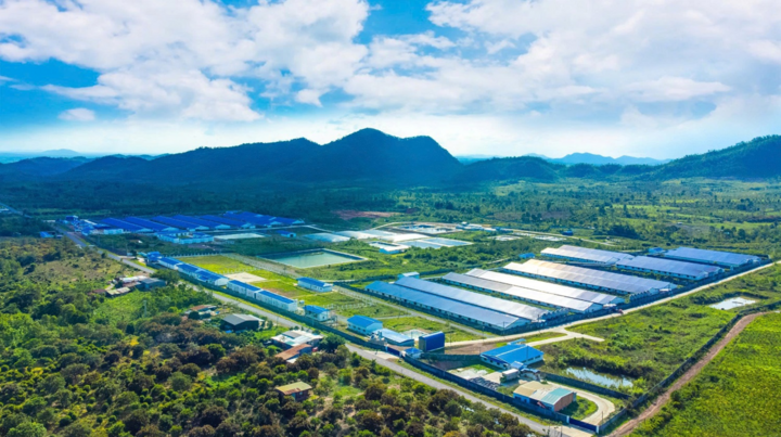 Dự án hợp tác giữa Tập đoàn Hùng Nhơn và De Heus tại Đắk Lắk.