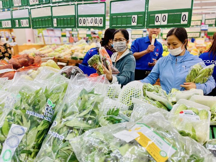 Các loại rau quen thuộc như rau muống, rau lang, rau mồng tơi được bán với mức giá ưu đãi trong chương trình khuyến mãi tại hệ thống Saigon Co.op.