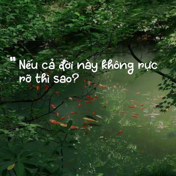 “Nếu cả đời này không rực rỡ thì sao?” đã chạm đúng tâm trạng chung của nhiều thế hệ.