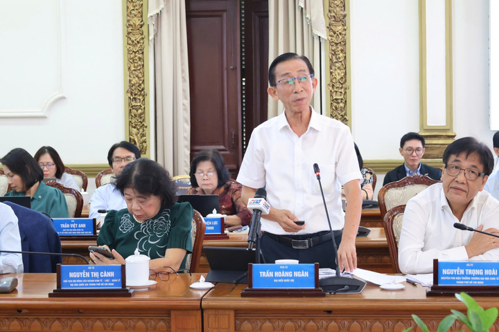 PGS.TS Trần Hoàng Ngân kiến nghị TP.HCM cần thành lập nhóm ứng phó khủng hoảng năng lượng.