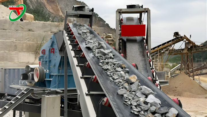 17 năm 'Đồng hành - Tiến bước': T&T VM khẳng định vị thế bằng giá trị thực - 2