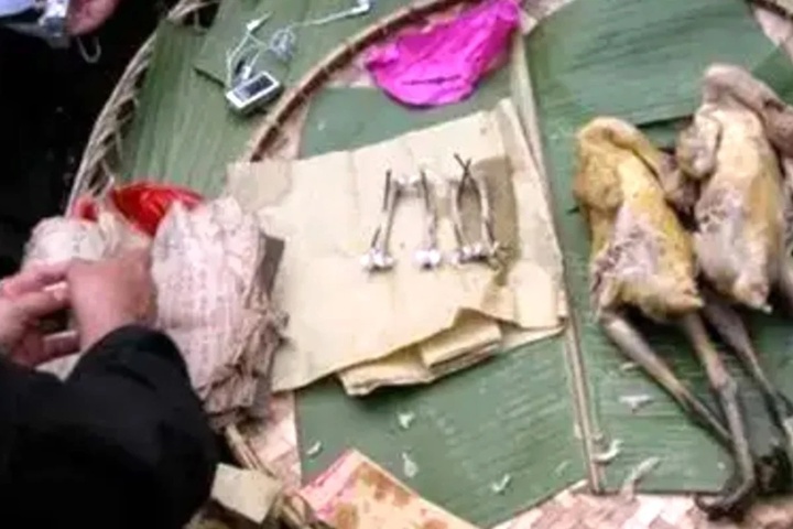 Dân tộc thiểu số Trung Quốc sử dụng xương gà để bói toán. (Ảnh: SCMP)