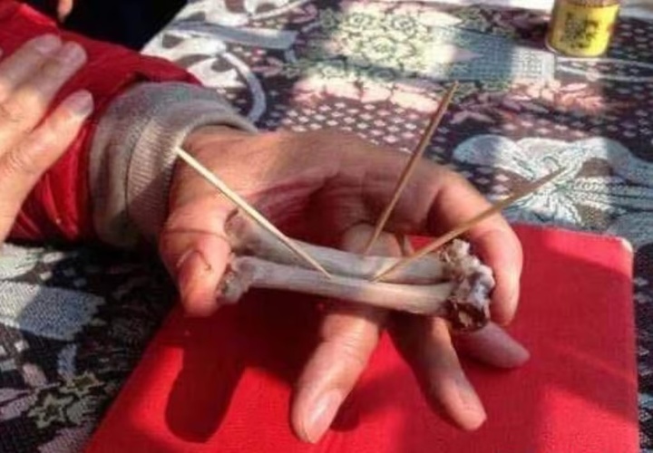 Một chuyên gia bói toán cầm xương gà trên tay khi trình diễn phong tục này. (Ảnh: Zhihu)