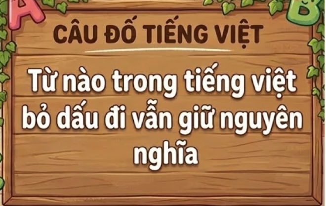 Từ nào trong tiếng Việt bỏ dấu đi vẫn giữ nguyên nghĩa? (Ảnh minh họa)