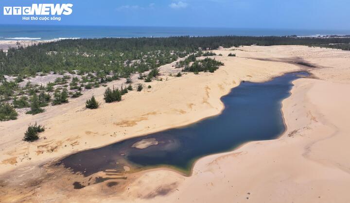Nhũng triền cát vàng mịn, phẳng lì, trải dài và hệ sinh thái rừng phi lao đặc hữu bên trong nơi thực hiện dự án.