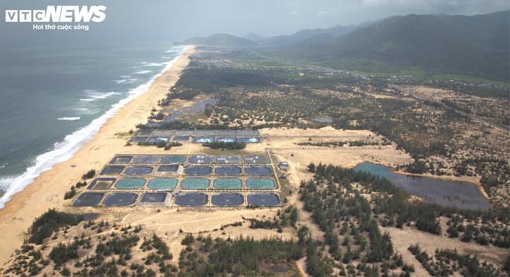 Ngoài ra không gian cây xanh trải dài trên bờ biển sẽ tạo ra một hệ sinh thái dịch vụ bền vững, đáp ứng nhu cầu nghỉ dưỡng dài ngày của du khách.