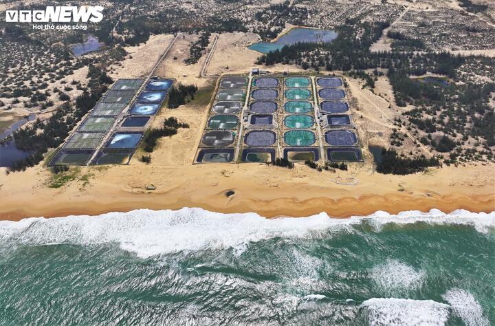 Những đầm nuôi tôm công nghệ cao của người dân xã Cát Tiến nằm sát bờ biển nhiều màu sắc, hòa chung với màu xanh của biển, màu vàng của cát và những con sóng bạc đầu, tạo nên một bức tranh thiên nhiên hùng vỹ.