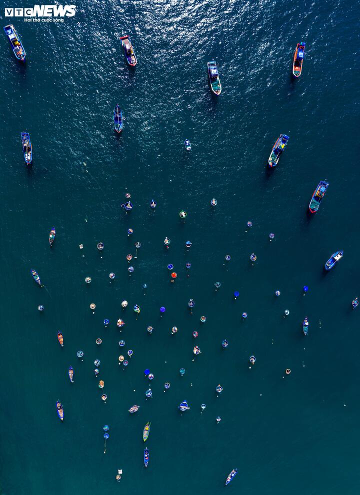 Khi vào mùa, hình ảnh những chiếc tàu qua lại tấp nập, những thuyền thúng neo đậu trên biển... khiến bức tranh làng chài trở nên nhộn nhịp, sống động.