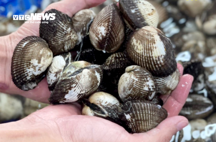 Sò lông cần được sơ chế kỹ vì sống trong bùn cát. (Ảnh: Bảo Linh)