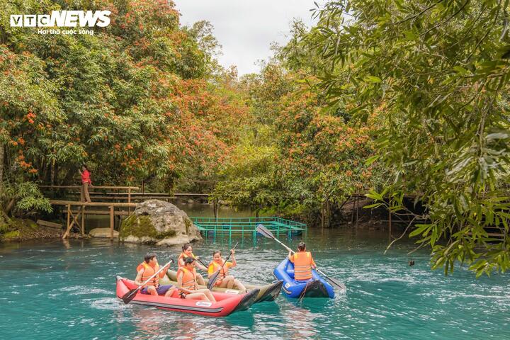 Sắc cam của hoa vàng anh phủ kín cả một vùng, màu hoa soi bóng xuống làn nước trong xanh ngọc bích và hòa cùng khung cảnh núi rừng hùng vĩ tạo nên một bức tranh thiên nhiên đầy mê hoặc.