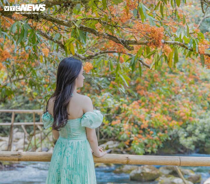 Không chỉ dừng lại ở cảnh sắc, giá trị của suối Nước Moọc còn nằm ở sự bền vững của một hệ sinh thái rừng nguyên sinh được bảo tồn nghiêm ngặt. Nằm trong phân khu phục hồi sinh thái của Vườn Quốc gia Phong Nha - Kẻ Bàng, suối Nước Moọc ngoài là khu du lịch, còn là minh chứng cho việc bảo tồn thiên nhiên gắn liền với phát triển bền vững.