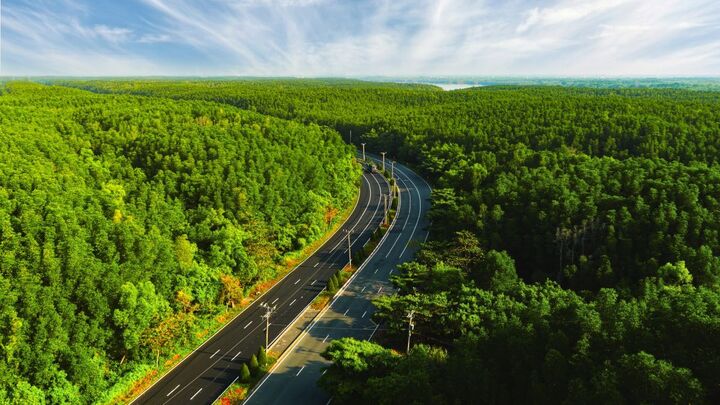 Nằm kề bên khu dự trữ sinh quyển Cần Giờ, Vịnh Ngọc sở hữu bầu không khí trong lành hiếm có, giàu oxy nguyên chất nhất TP.HCM.